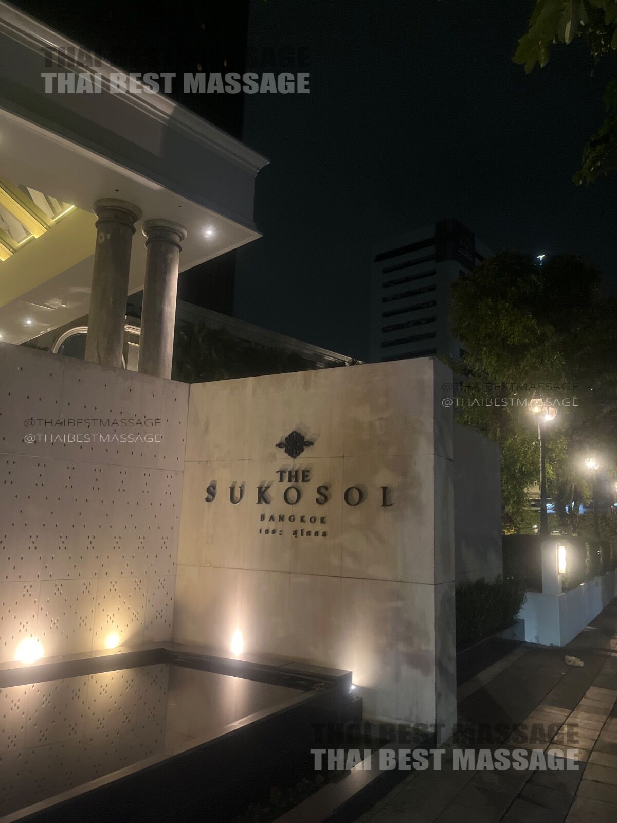 Close-up of a professional Thai massage being performed on a hotel bed by Aria