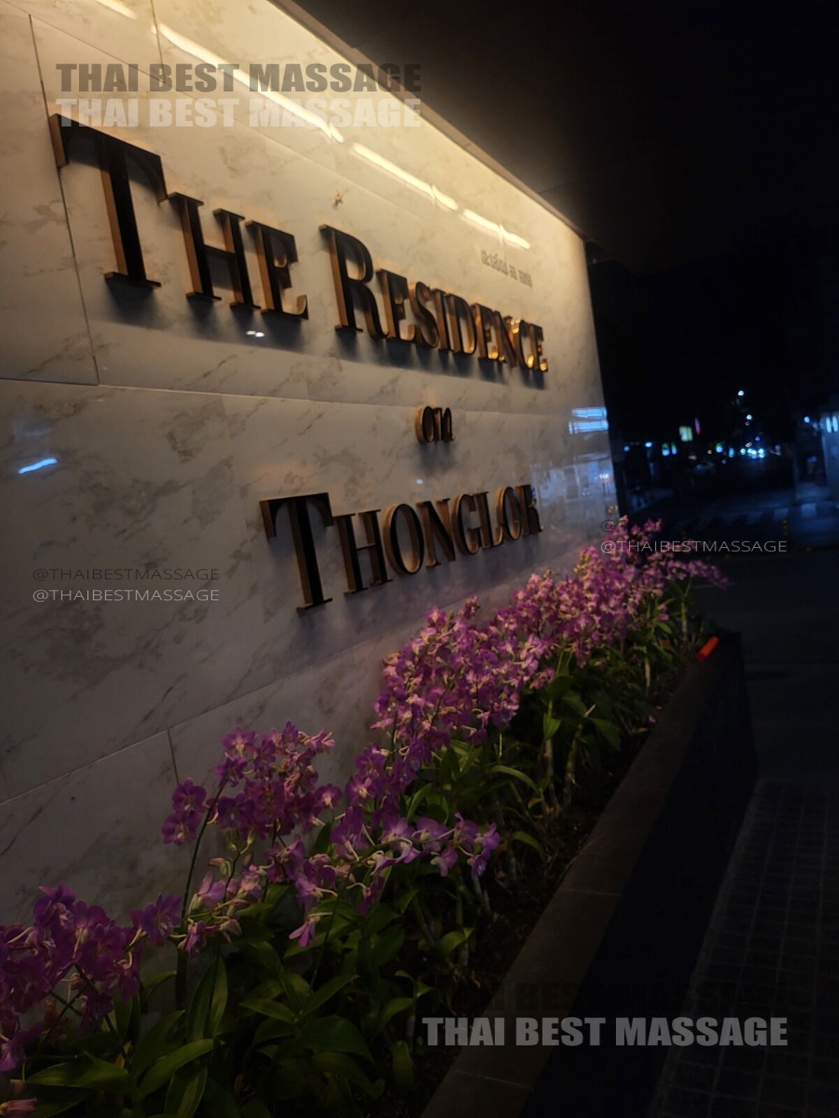 모바일 마사지 서비스에 사용되는 고품질 마사지 오일 및 도구.