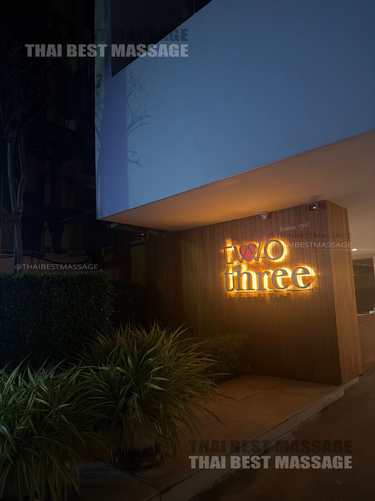 Aria performing a professional Thai massage technique.